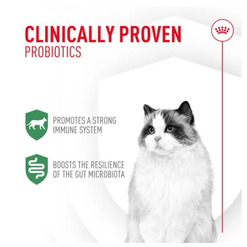 ROYAL CANIN Probiotics for cats - Picture 5 of 8